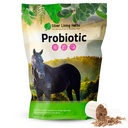 Horse Probiotics Digestive Supplement - 1.25 lb | Horse Probiotics, 13.2B CFU With Lactobacillus & Bifidobacterium, Digestive Enzyme & Gut Health, NASC Certified, Made in USA
