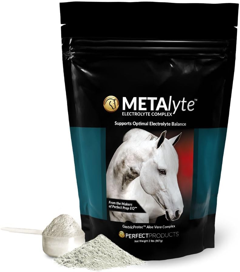 MetaLyte Complete Equine Electrolyte with Gastric Soothing Aloe Vera, Great Tasting Powder Formula (2 lb, 60 Day Supply)