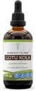 Μυστικά της φυλής Gotu Kola Βάμμα Υγρό εκχύλισμα αλκοόλης, Gotu Kola (Centella Asiatica) Αποξηραμένο Βότανο (4 FL OZ)