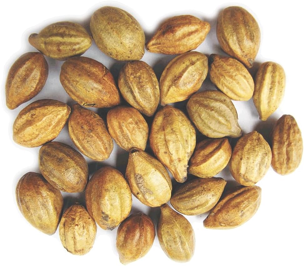 Naturals Terminalia Chebula 