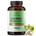 HERBAMAMA Irish Sea Moss Κάψουλες - 1600mg Sea Moss και Bladderwrack για την υποστήριξη του ανοσοποιητικού - Vegan, συμπλήρωμα ασυλίας μη ΓΤΟ για τη συνολική υποστήριξη