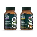 Gaia Herbs Vitex Berry (Chatse Tree) - Υποστηρίζει την ισορροπία ορμονών και γονιμότητας για τις γυναίκες - 60 Vegan Caps & Liver Health - Συμπλήρωμα ήπατος με Thistle γάλακτος, Ρίζα γλυκόριζας για το συκώτι και την υποστήριξη καθαρισμού -
