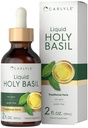 Carlyle Holy Basil Liquid Drops | 2 Fl Oz | Tulsi Leaf Extract | Vegetarian, Non-GMO & Gluten Free Supplement