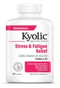 Kyolic Aged Garlic Extract Formula 101, Stress and Fatigue Relief*, 300 Capsules.