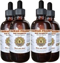 Saw Palmetto Liquid Extract, Organic Saw Palmetto (Serenoa Repens) Βάμμα, συμπλήρωμα βοτάνων, Hawaii Pharm, Made in USA, 4x4 fl.oz