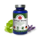 Ginkgo Biloba, Memory, Focus & Brain Function Support, Antioxidant-Rich, Plant-Based, GMP, Herbal Nootropic Vegetarian Capsules, 120 Count (Pack of 1)