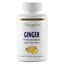 Paradise Herbs Premium εκχύλισμα τζίντζερ για Digestive Health, Super Potent, Ultra Pure, Vegan, Μη-GMO, Χωρίς γλουτένη, 60 κάψουλες χορτοφάγων