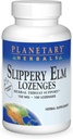 Planetary Herbals Slippery Elm Strawberry Lozenges, Herbal Throat Support, 100 Lozenge