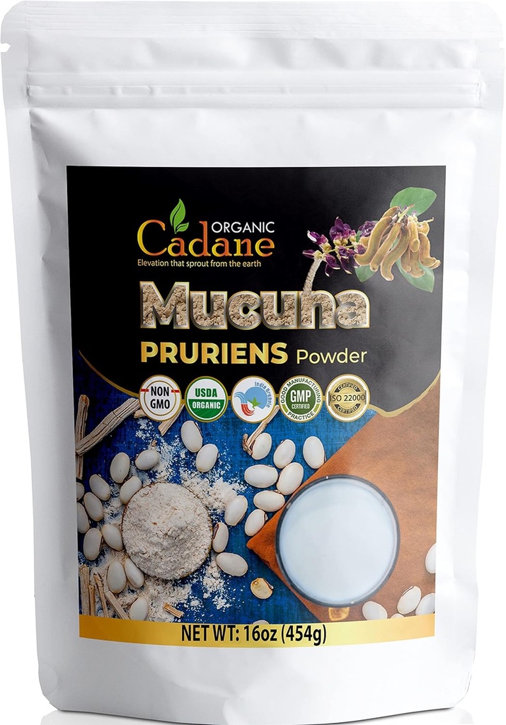 Organic Cadane Mucuna Pruriens Powder 1 Pound | Promotes Brain Health, Supports Immune System, Energy | USDA Certified Vegan-Friendly Supplements | Pure Natural Velvet Beans Extract from India