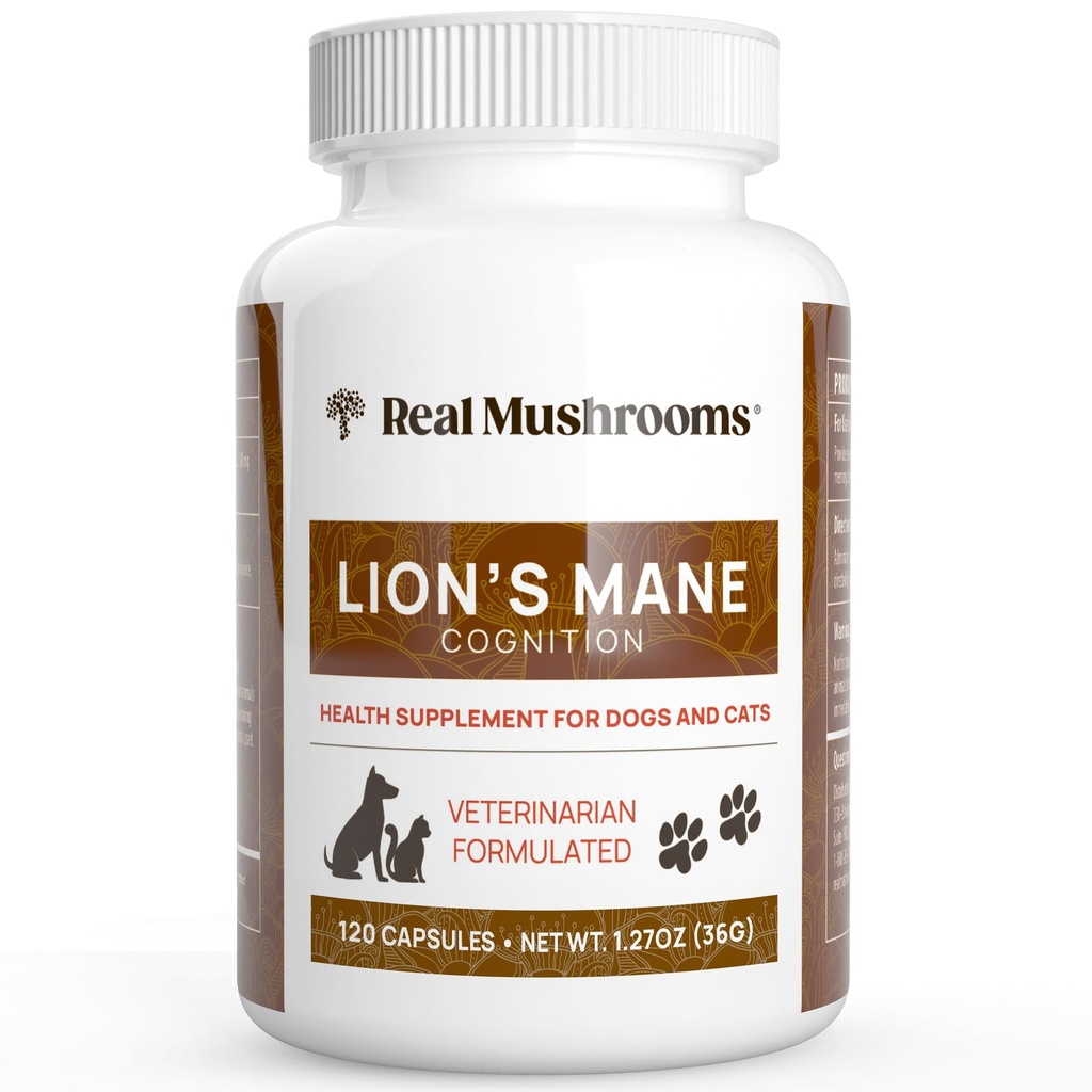 Real Mushrooms Lion’s Mane Pet Mushroom Supplement – κάψουλες ευεξίας κατοικίδιων ζώων – για το συμπλήρωμα γάτας & σκύλου & Βιταμίνες – Υποστηρίξτε το Mindful Routines – Organic, Vegan, Non-GMO, 120 Count