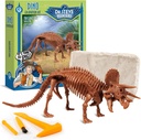 Geoworld Triceratops Dino Dig Kit – Συναρμολογήστε ένα μοντέλο 8 ιντσών αυθεντικό Dinosaur Skeleton Model Ultimate STEM Learning Experience for Kids Ηλικίες 6+