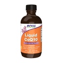 NOW Συμπληρώματα, CoQ10 Liquid, 100 mg ανά Teaspoon, με Συνένζυμες Βιταμίνες Β, Γλυκασμένα με Ξυλιτόλη, 4-Ounce
