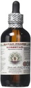 Hawaii Pharm Horsetail Alcohol-Free Liquid Extract, Horsetail (Equisetum arvense) Dried Herb Glycerite Natural Herbal Supplement 4 oz