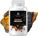 Chaga Mushroom Gummies — Αντιοξειδωτικό συμπλήρωμα υποστήριξης του ανοσοποιητικού - Διαιτητικό συμπλήρωμα μανιταριών - 60 Gummies - Made in USA - Shrooms for Health - Organic Vegan Frendly