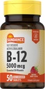 Sundance Vitamin B12 Fast Dissolve Tablets 