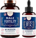 WINDSOR BOTANICALS Vegan Vitamin B12 και συμπλήρωμα ανδρικής γονιμότητας με Maca Root - Ενέργεια και το πακέτο γονιμότητας