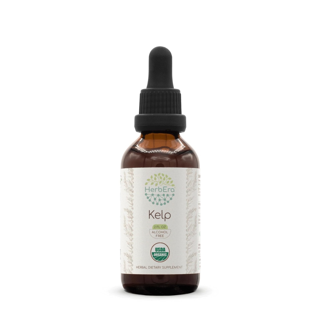 HerbEra Kelp B60 USDA Βιολογικό εκχύλισμα Βάμμα 