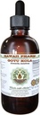 Gotu Kola Alcohol-Free Liquid Extract, Organic Gotu Kola (Centella Asiatica) Dried Leaf Glycerite Hawaii Pharm Natural Herbal Supplement 4 oz