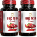 URIC Acid Support - Urinary Tract Support, Advanced Herbal Formula, Uric Acid Flush, Support Uric Acid, Joint Support Supplement - 2 Bottles 120 Capsules