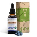 Μυστικά της Φυλής Bilberry Φρούτα USDA Organic 