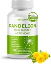 Dandelion Milk Thittle Artichoke Burdock Turmeric - Υποστήριξη της υγείας του ήπατος, υποστήριξη Digestive Aid - Made and Tested στις ΗΠΑ