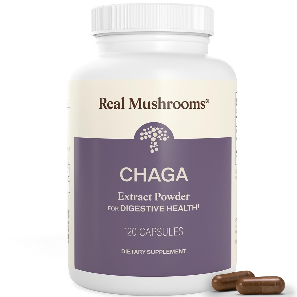 Real Mushroom Chaga Mushroom Κάψουλες – Βιολογικό Chaga Extract σκόνη με εκχύλισμα σκόνης για την ευεξία και την ενεργειακή υποστήριξη– Vegan, μη GMO, 120 κάψουλες – Βιολογικό συμπλήρωμα μανιταριών