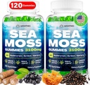 Sea Moss Gummies, 3100mg Irish True Sea Moss Seamoss Gummies for Women & Men with Bladderwrack, Burdock Root, Elderberry Vitamin C και Zinc για Detox Cleanse, Immune, Skin, Digestive, Organic, 120Ct