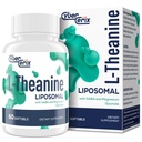 Λιποσωμική L-Θεανίνη 500mg, Συγκρότημα με GABA 200mg & Μαγνήσιο 100mg, Πρόσθετη ενίσχυση για την ηρεμία, χαλάρωση & εστίαση, Χωρίς γλουτένη - 60 κάψουλες