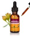 Herb Pharm Certified Organic Rhodiola Root Extract για την ενέργεια, αντοχή και Stamina, Glycerite χωρίς αλκοόλ, 1 ουγγιά