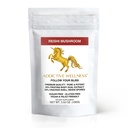 Addicive Wellness Reishi Mushroom Extract Powder + Spores (50/50 Blend) Ξύλο που καλλιεργείται καθαρό και ισχυρό Wildcraft Ganoderma (100 γραμμάρια)