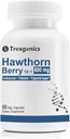 Trexgenics Hawthorn Berry 600 mg Καρδιαγγειακό, Χοληστερόλη, τριγλυκερίδια, Υποστήριξη πίεσης αίματος Vegan & Non-GMO (60 Veg Κάψουλες) (Συσκευασία 1)