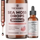 TrueSeaMoss Ιρλανδικές σταγόνες Μος της Θάλασσας - 5X ισχυρότερη από τη θάλασσα Moss Gel - 92+ Essentials Minerals - με Spirulina σε σκόνη, Burdock Root & Black Cumin - 2 Fl Oz (60ml) - Γεύση Φράουλας