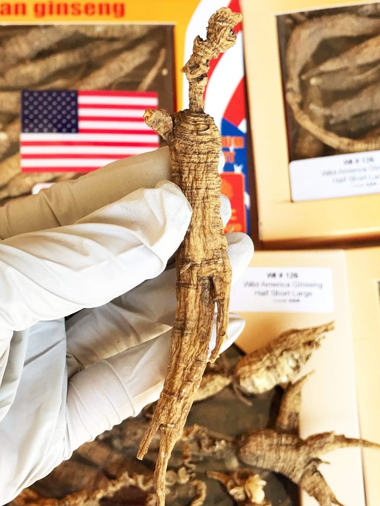 8OZ=227g/Box American Wild Ginseng 15~20 Years, Wisconsin Whole Ginseng Root Hand-Selected 