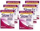 Slow Fe Slow Release Iron, Δισκία 30 ea (πακέτο των 6)