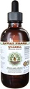 Quassia Alcohol-Free Liquid Extract, Quassia (Quasia Amara) Αποξηραμένο Μπαρκ Γλυκερίτης Φυσικό συμπλήρωμα βοτάνων, Χαβάη Pharm, ΗΠΑ 2 fl.oz