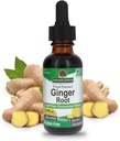 Απάντηση Ginger ρίζας αλκοόλ εκχύλισμα 1 ουγγιά 