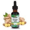 Απάντηση Ginger ρίζας αλκοόλ εκχύλισμα 1 ουγγιά 