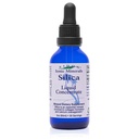 Eidon Liquid Silica Mineral Concentrate - Συμπλήρωμα Silica για τα μαλλιά, το δέρμα και τα νύχια, σταγόνες για την υποστήριξη της παραγωγής κολλαγόνου, βοηθά να διαχειριστεί το ασβέστιο, χωρίς προσθήκη ζάχαρης - 2 oz