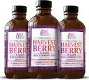 Condi Lynn's Organic Harvest Berry Syrup for Kids and Adults – Real Honey Elderberry Syrup for Immune Support - Θεραπευτική Φόρμουλα - 4 Fl. Oz (Pack of 3)