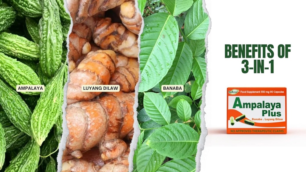Ampalaya Plus 550mg 90 κάψουλες - Συσκευασία 1 - με Banaba, Turmeric Ginger και Bitter Melon από Ampalaya Plus - Halal Herbal Suplements