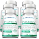 Approved Science Pyloriprin - Advanced Digestive Support for A Healthy Stomach - Zinc L-Carnosine, Probiotic, Broccoli Sprout, Deglycyrrhized Licorice - 360 Capsules - six Month Supply - Vegan