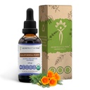 Secrets of the Tribe California Poppy Tincture Alcohol-Free Liquid Extract, USDA Organic California Poppy (Eschscholzia Californica) Dried Root (2 FL OZ)