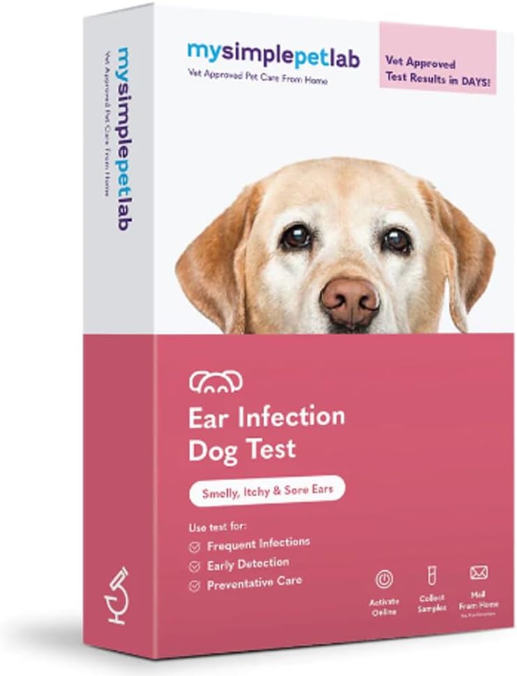 MySimplePetLab Σκύλος κιτ λοίμωξης κιτ, Vet Εγκεκριμένο, Ανιχνεύει Yeast & Βακτήρια, Mail-in Kit, Γρήγορη αποτελέσματα, εύκολη στο σπίτι χρήση για δύσοσμη, φαγούρα αυτιά, Υποστηρίζει την υγεία αυτί σκύλου