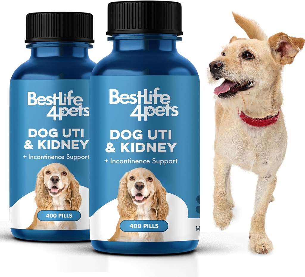 BestLife4Pets υποστήριξη σκύλων UTI νεφρών, φυσική ούρηση Φυλλαδική θεραπεία λοίμωξης, συμπλήρωμα ελέγχου νεφρών και ουροφόρων οδών, εύκολο στη χρήση χάπια 2 συσκευασίας