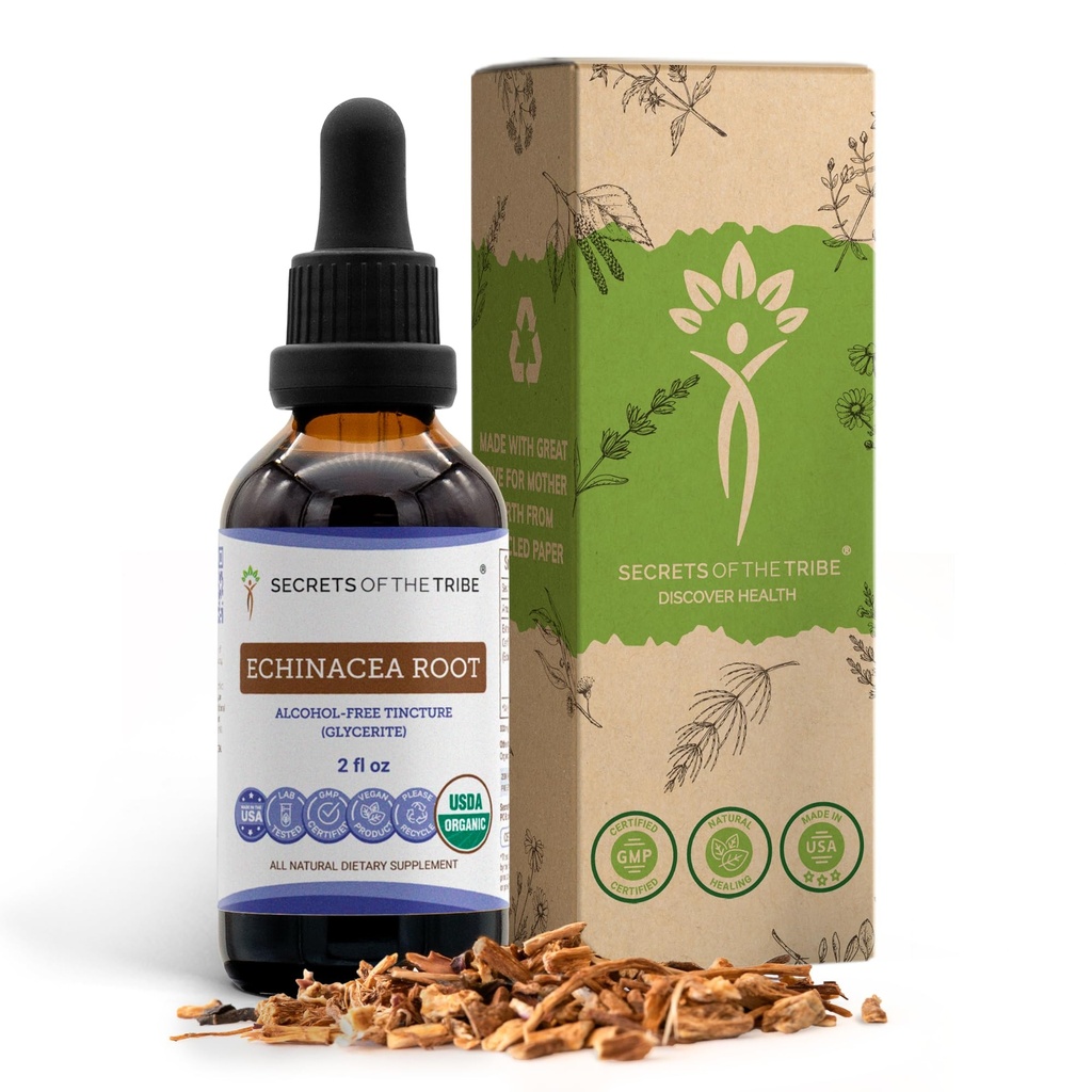 Echinacea Root USDA Organic Tincture | Alcohol-Free Extract, High-Potency Herbal Drops, Immune System Health | Made from 100% Certified Organic Echinacea Root (Echinacea Purpurea) 2 oz