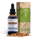 Echinacea Root USDA Organic Tincture 