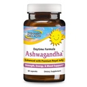 ΒΟΡΕΙΑ ΑΜΕΡΙΚΗ ΒΟΤΑΝΙΑ & ΣΠΙΤΙΔΑ Ashwagandha 60 Caps