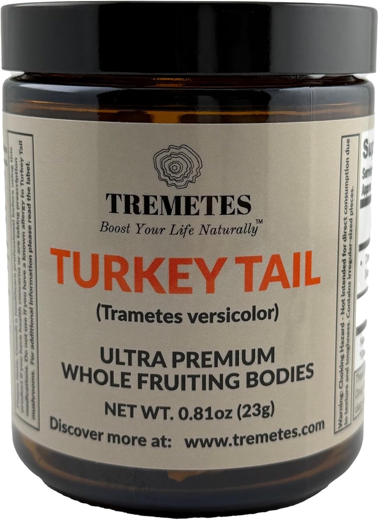 Γαλοπούλα Mushroom ουρά (Trametes versicolor) Φρουτιστικό Σώμα – Εργαστήριο Επαληθευμένο 41,2% Beta-Glucans – Adaptogenic ολόκληρα κομμάτια για τσάι – Υποστηρίζει ανοσοποιητικό, Gut & Digestive Υγεία – Amber Glass Jar