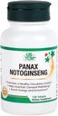 Panax Notoginseng Tabletισκίο - Υγιές Κυκλοφορικό Σύστημα