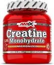 Amix Creatine Monohydrate - σκόνη 300 γραμμάρια
